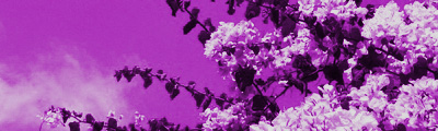 bl�ten