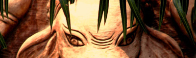 elefant